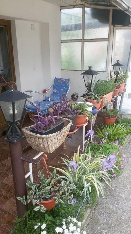 Apartments Aida บีฮัช ภายนอก รูปภาพ