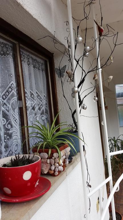 Apartments Aida บีฮัช ภายนอก รูปภาพ